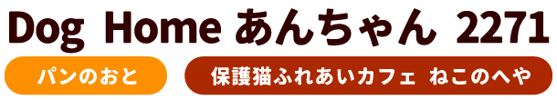 Dog Home あんちゃん2271